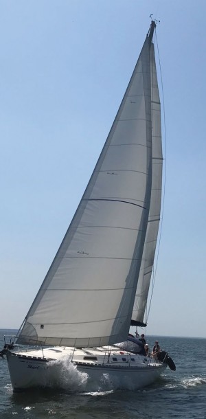 segeltoern29