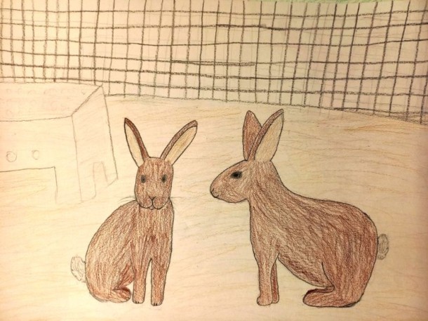 2502 josephine laube